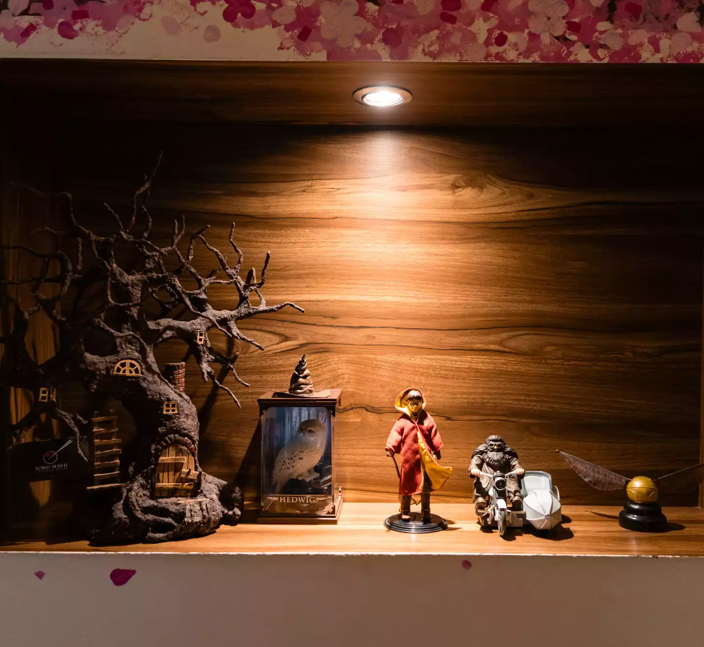 Yoku Sushi Pachuca El mejor restaurante Japonés en Pachuca